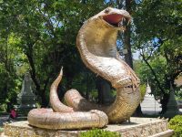 Kambodscha. Naga- Schlange  &ndash; &copy; Heike Jack (Eberhardt TRAVEL)