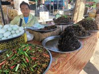 Kambodscha. Würmer, Spinnen, Kakerlaken - Snacks &ndash; &copy; Heike Jack (Eberhardt TRAVEL)