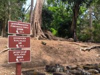 Kambodscha. Angkor Thom  &ndash; &copy; Heike Jack (Eberhardt TRAVEL)