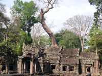 Kambodscha. Ta Prohm &ndash; &copy; Heike Jack (Eberhardt TRAVEL)