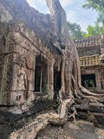 Kambodscha. Ta Prohm &ndash; &copy; Heike Jack (Eberhardt TRAVEL)