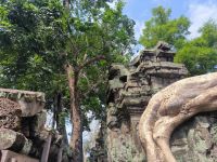 Kambodscha. Ta Prohm &ndash; &copy; Heike Jack (Eberhardt TRAVEL)