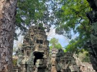 Kambodscha. Ta Prohm &ndash; &copy; Heike Jack (Eberhardt TRAVEL)