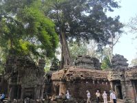 Kambodscha. Ta Prohm &ndash; &copy; Heike Jack (Eberhardt TRAVEL)