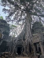 Kambodscha. Ta Prohm &ndash; &copy; Heike Jack (Eberhardt TRAVEL)