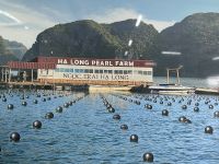 Austernzucht für Perlen &ndash; &copy; Birgit Kirchner (Eberhardt TRAVEL)