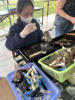 sie präpariert die Austern &ndash; &copy; Birgit Kirchner (Eberhardt TRAVEL)