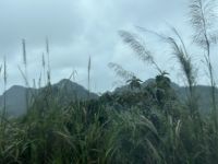 und hinauf in in die Bergregion  &ndash; &copy; Birgit Kirchner (Eberhardt TRAVEL)