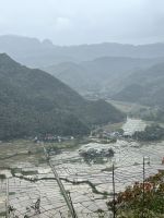 Reisfelder - in der Phase der Setzlinge &ndash; &copy; Birgit Kirchner (Eberhardt TRAVEL)