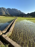 so werden Reisfelder bewässert &ndash; &copy; Birgit Kirchner (Eberhardt TRAVEL)