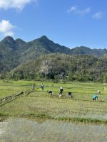 schon früh bei der Arbeit... &ndash; &copy; Birgit Kirchner (Eberhardt TRAVEL)