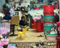 Szene am Blumenmarkt  &ndash; &copy; Birgit Kirchner (Eberhardt TRAVEL)