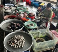 Markt am Ufer mit viel Lokalkolorit  &ndash; &copy; Birgit Kirchner (Eberhardt TRAVEL)