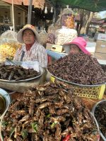 Marktstand - frittierte Insekten  &ndash; &copy; Birgit Kirchner (Eberhardt TRAVEL)