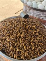 Marktstand - frittierte Larven &ndash; &copy; Birgit Kirchner (Eberhardt TRAVEL)