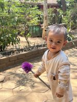 nein, keine Lotusblume ! &ndash; &copy; Birgit Kirchner (Eberhardt TRAVEL)