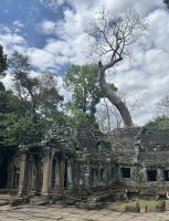 Ta Prohm - Tempel im Griff der Würgefeigenbäume  &ndash; &copy; Birgit Kirchner (Eberhardt TRAVEL)