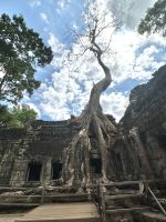 Ta Prohm - Tempel im Griff der Würgefeigenbäume  &ndash; &copy; Birgit Kirchner (Eberhardt TRAVEL)