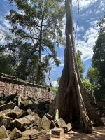 Ta Prohm - Tempel  &ndash; &copy; Birgit Kirchner (Eberhardt TRAVEL)