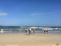 256 Lang Co-Strand