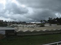 Da Lat - Gewächshäuser soweit das Auge reicht