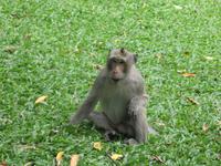 Phnom Penh - Wat Phnom Penh