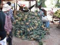 ...aber hier gibt es auch anderes