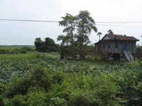 Fahrt nach Siem Reap