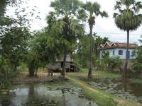 Fahrt nach Siem Reap