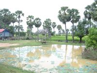 Fahrt nach Siem Reap