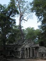 Ta Prohm