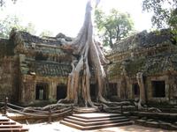 Ta Prohm