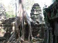 Ta Prohm
