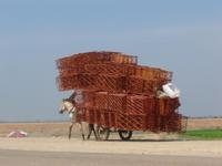 Fahrt Phnom Penh - Siem Reap