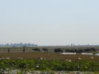 Fahrt Phnom Penh - Siem Reap