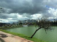 436 Dalat