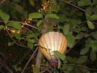 Abendessen in Hoi An