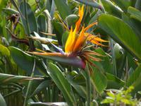 Botanischer Garten von Da Lat