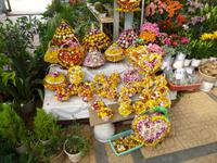 Botanischer Garten von Da Lat