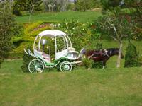 Botanischer Garten von Da Lat