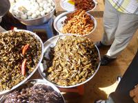 Spinnenmarkt auf dem Weg nach Siem Reap