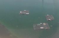 Fischzucht vor Nha Trang