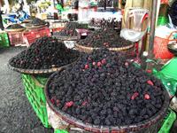 Maulbeeren in Da Lat