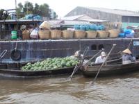 Auf dem schwimmenden Markt in Can Tho