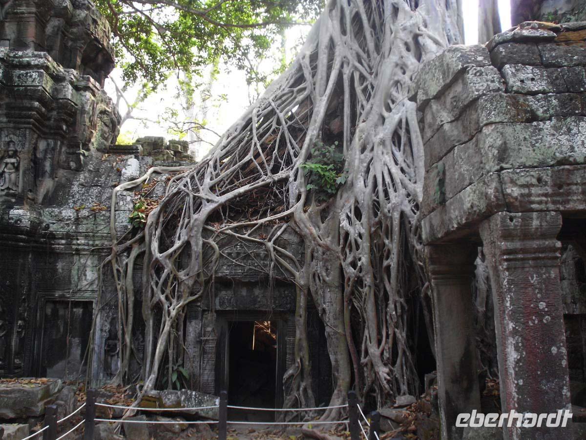 Ta Prohm