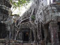Ta Prohm