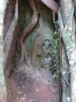 Angkor Thom - Ta Prohm Tempel