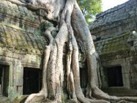 Angkor Thom - Ta Prohm Tempel