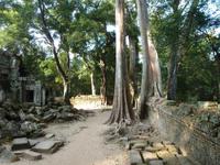 Angkor Thom - Ta Prohm Tempel
