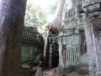Angkor Thom - Ta Prohm Tempel